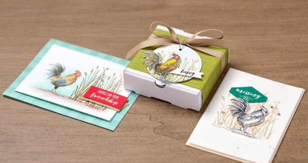 sw_hometoroost_sab_jan0819